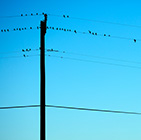 IP Telephony Birmingham